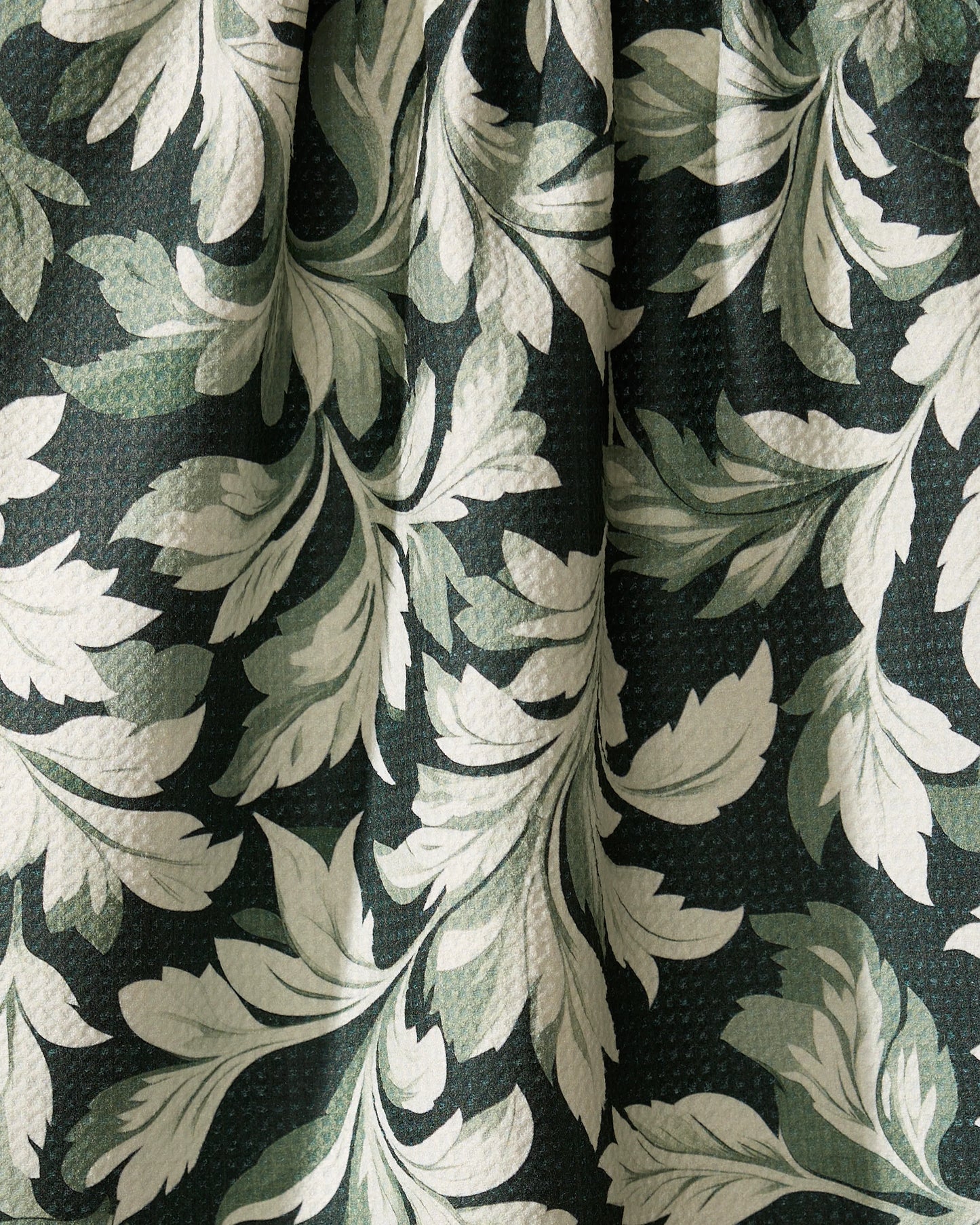 Classic Foliage